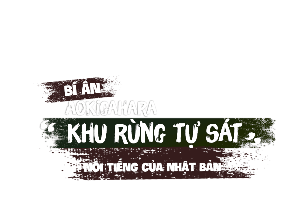 Bí ẩn Aokigahara, “khu rừng tự sát” nổi tiếng của Nhật Bản
